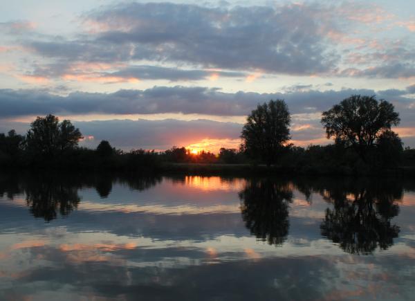 012 Vijfheerenlanden en de Biesbosch 